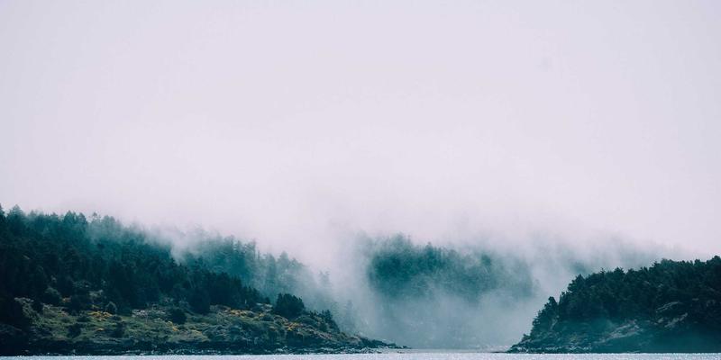 DNA Analysis vs. Genetic Testing：解码个性化健康管理的双引擎