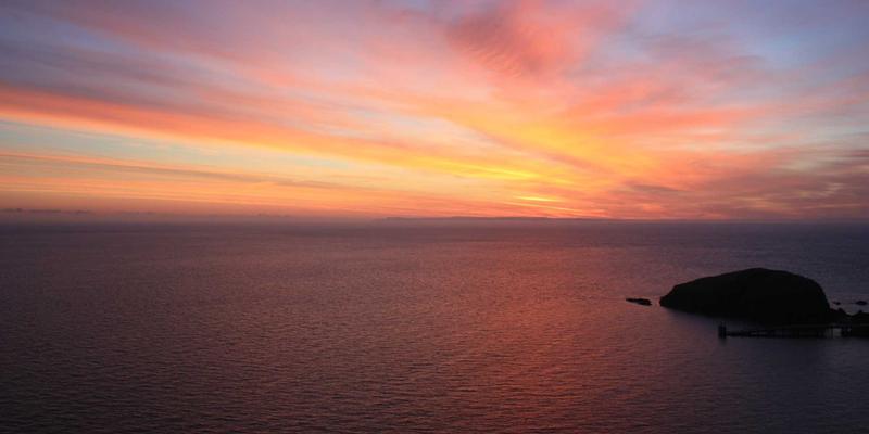 从健康管理到刑侦突破：新一代DNA分型技术如何重塑基因检测的未来