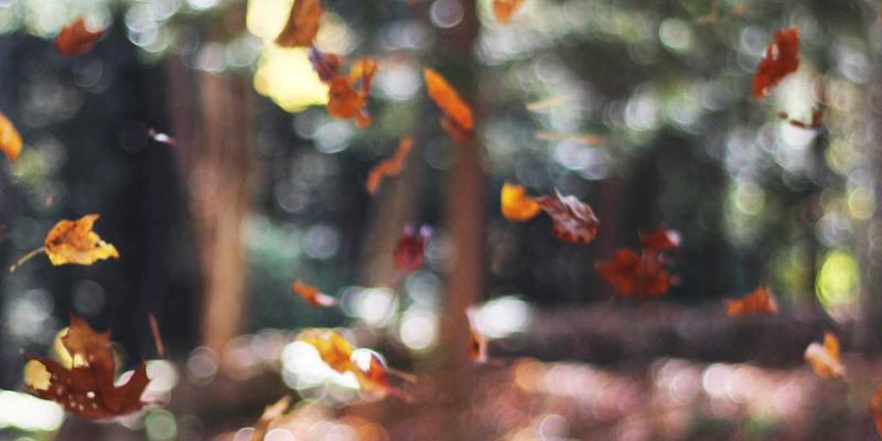 从基因组学到个性化健康：基因检测如何通过DNA分析重塑健康管理