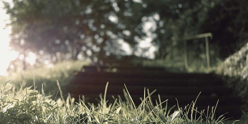 从基因组学到健康管理：基因检测如何重塑个性化健康未来