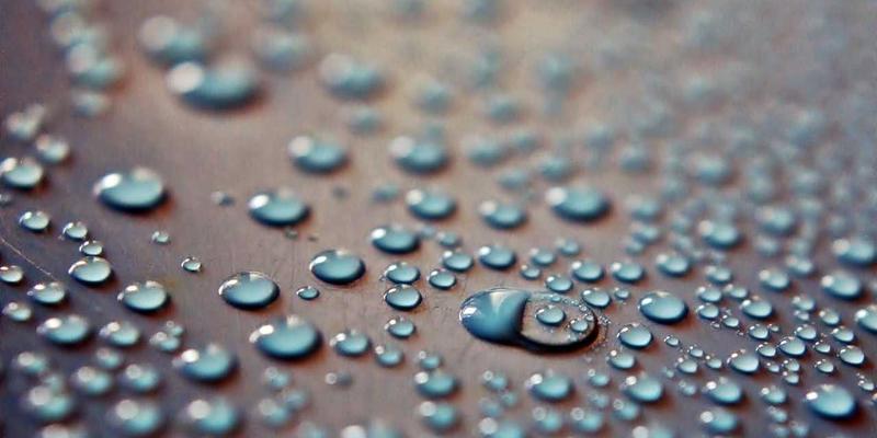 从基因组学到预防性护理：如何准确解读你的祖源DNA检测报告