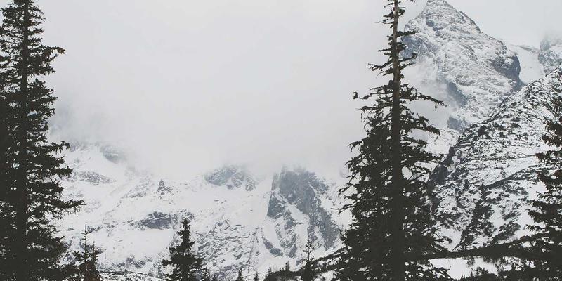 从迷雾到曙光：基因检测如何重塑罕见病诊断之路