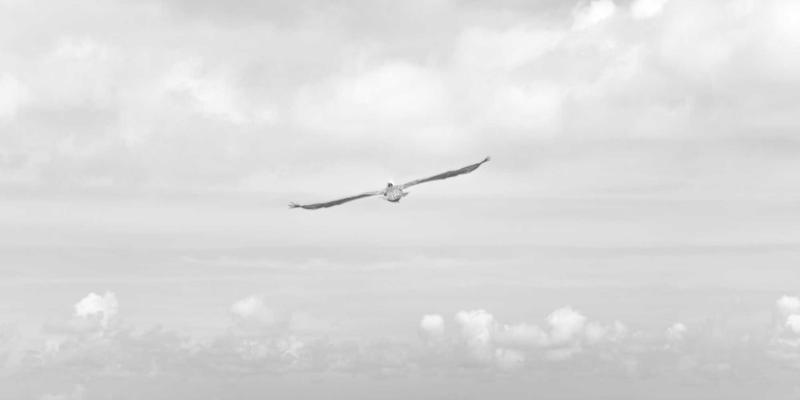 全基因组测序：开启儿童罕见病精准诊断与个性化健康管理新纪元