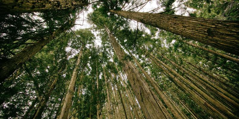 基因如何决定药效？药物基因组学检测引领精准健康管理新纪元