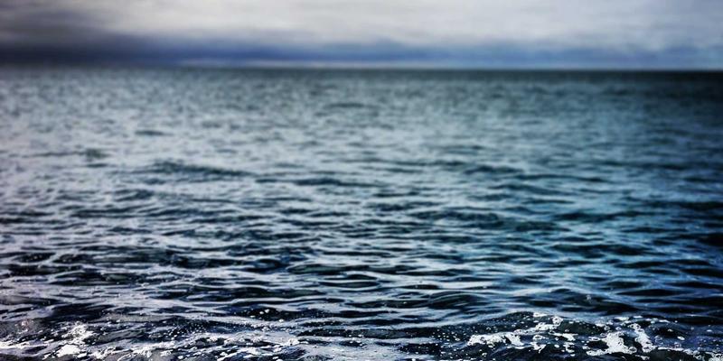 基因检测与心血管疾病预防：如何通过DNA分析和遗传筛查评估心脏病与中风风险