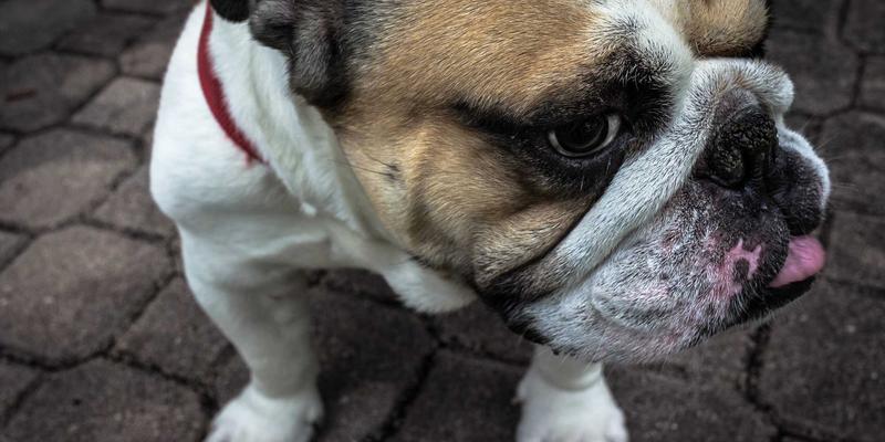 基因检测与运动损伤预防：如何通过个性化健康筛查降低韧带撕裂与跟腱病风险