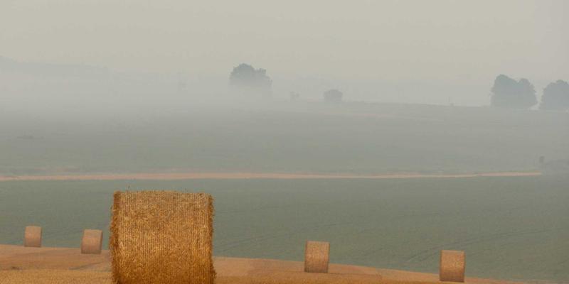 基因检测与长寿研究：解码百岁老人基因组中的健康管理密码