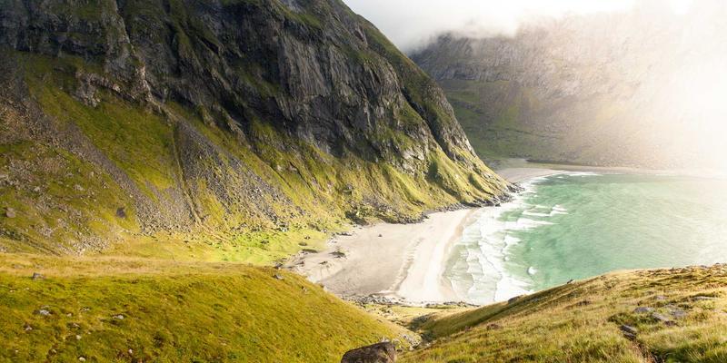 基因检测：从DNA分析到主动健康管理的革命