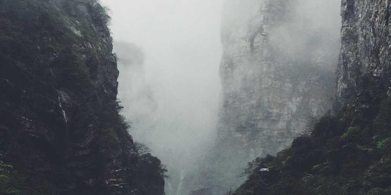 基因检测：从基因组学到健康管理的预防性医疗革命