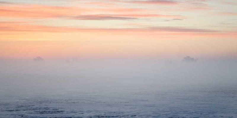 基因检测：从基因组学到精准健康管理