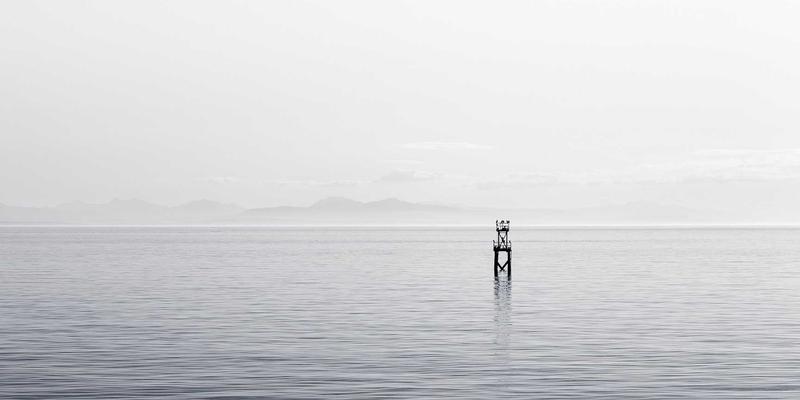 基因检测：从基因组学到精准健康管理，开启个性化医疗新时代