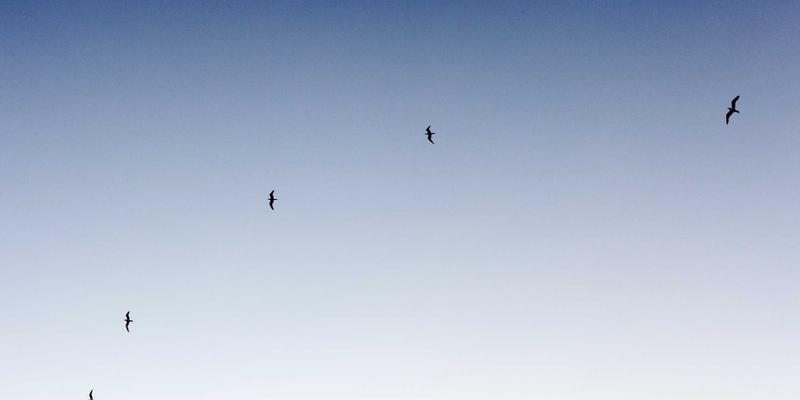 基因检测入门指南:从基因组学到筛查应用,开启精准健康管理