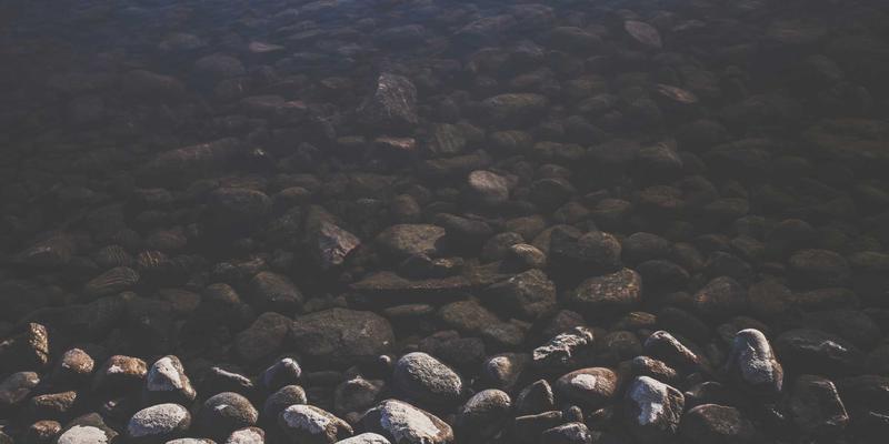 基因检测如何优化维生素与微量元素补充：从通用建议到个体化健康管理