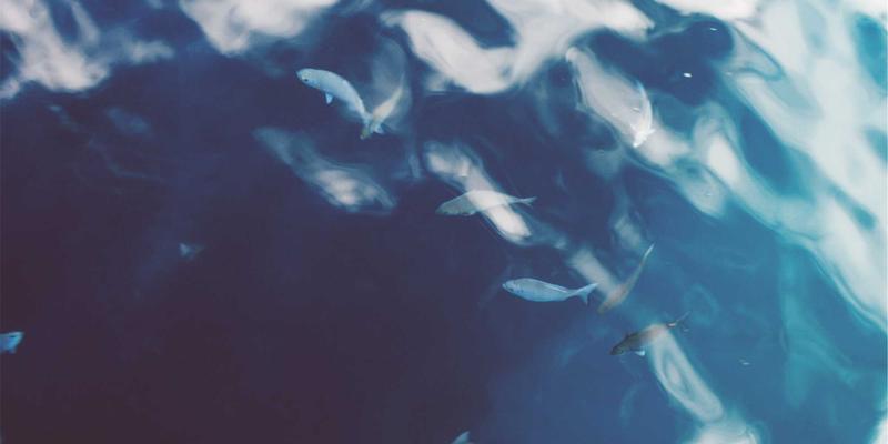 基因检测如何重塑健康管理:从基因组学到个性化健康策略