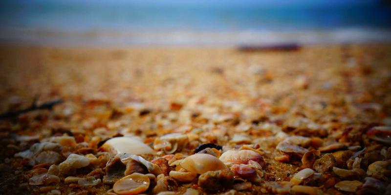 基因检测：开启个性化健康与预防性医疗的新纪元