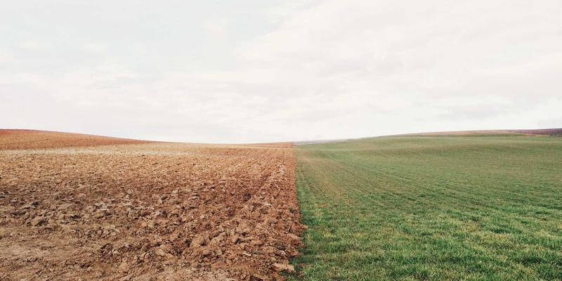 基因筛查：守护心脏健康的科学钥匙——深度解析肥厚型心肌病与家族性高胆固醇血症的风险评估