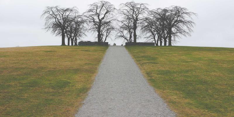 解码你的饮酒基因：ADH与ALDH变异如何重塑你的健康预防策略