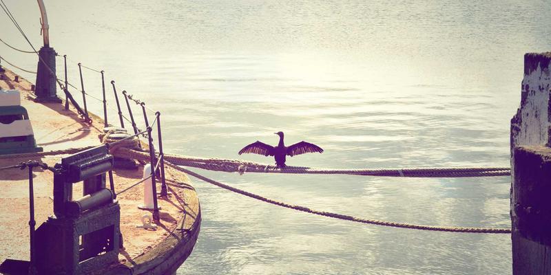 解码生命蓝图：基因检测如何揭示遗传性癌症风险与主动预防策略