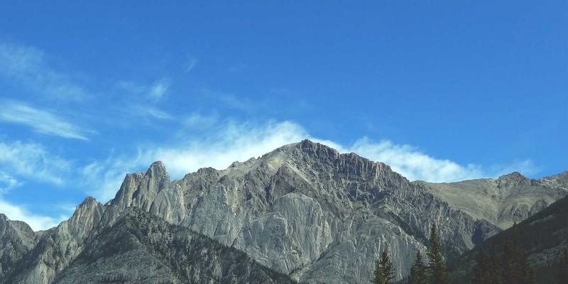 超越安吉丽娜·朱莉效应：基于Wellness与Genomics的BRCA1/2基因检测理性决策指南