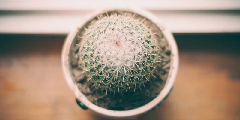 预见未来健康：神经退行性疾病预测性基因检测如何开启个性化预防新纪元